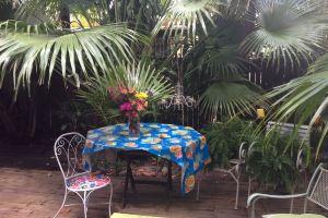 Beautiful & Large Bedroom in B&B in Exquiste Tropical Home- Centrally located, Miami