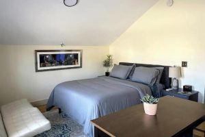 New Modern Studio- Hop Skip & Jump to Waterfront, Burlington