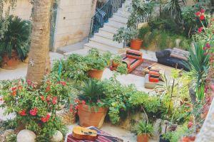 ( the garden ) a space to getaway and rejuvenate Hotel, Amman