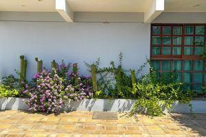 Stylish family boutique house, 10 minutes from downtown., Oaxaca