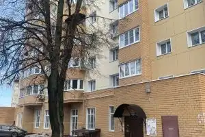 Priyatnaya Odnokomnatnaya Apartments, Kolomna