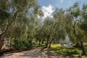 Apartment Ulivo with Pool and Private Beach, Mattinata