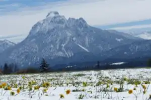 Füssen Apartments - West Apartments, Fussen