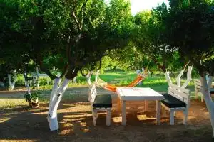 Bodrum Ecofarm Camp Hostel, Akyarlar