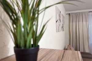 Apartments on Tatarstan Street, Kazan