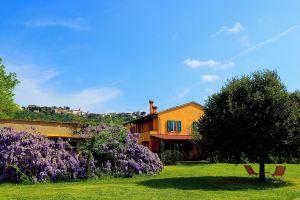 Tuscan countryhouse apartment, 10 min by the sea, with AC and large garden., Castagneto Carducci