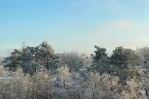 Cozy Center Apartment in