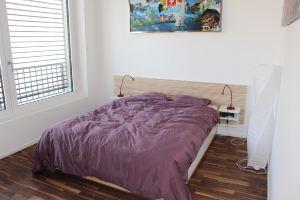 Superb Loft in the Center of Apartments, Lausanne