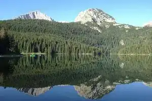 B&B Javorovača, Zabljak