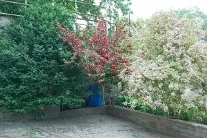 Garden House B&B, Ashtarak