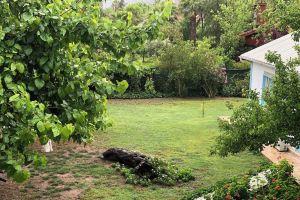 Çıralı Marina Loft Apartments, Cirali