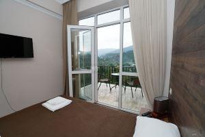 Modern apartment in, Borjomi