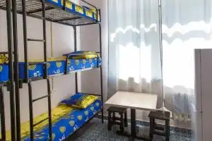 Vezhlivyij Los na Savelovskoj Hostel, Moscow