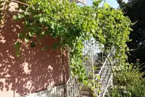 Porodicna Kuca Corbic Hotel, Bar