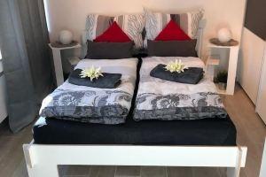 Ruhiges Neubau Apartment Nähe Dom & City, Koln