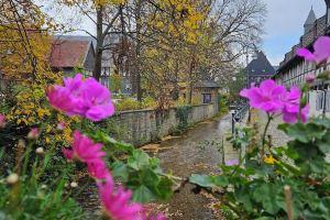 Dehn vacation apartment in the historic Ritter Ramm, Goslar