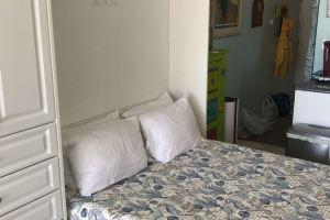 DIRECT Oceanfront Clean Comfy Studio Can’t get closer to the beach or pool!, Ormond Beach