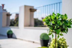 Central Sunny Penthouse - Premium Apartment, Malaga