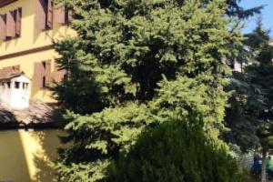 Sari Konak Garden Hotel, Safranbolu