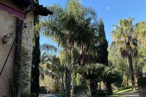 Magnificent Luxury Villa in. Private pool and large garden., Rome