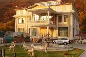 Edelveys, Almaty