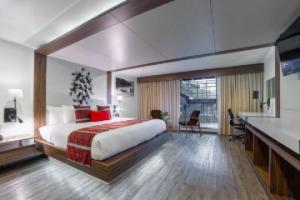 Flow Condesa - Adults Only, Mexico City