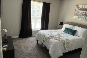 Comfy 2 Bedroom 2.5 bath Downtown