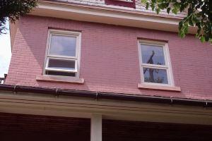 Sunnyside Bed and Breakfast Mini-hotel, Ottawa