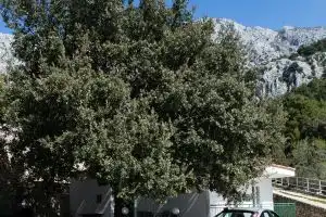 Split Region, Town of Makarska, Nature Park Biokovo with Sky Walk, Pets Allowed Hotel, Drasnice