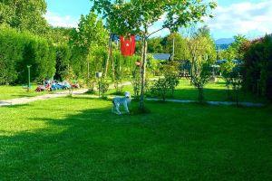 Sapanca Narli Bahce Bungalov Hotel, Sapanca