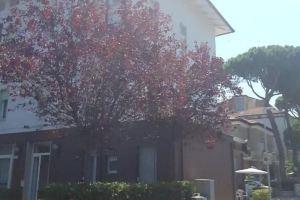 Hotel Byron, Riccione