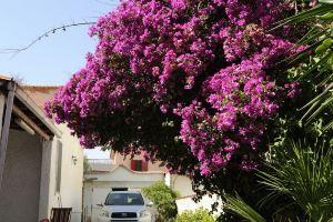 Holiday home, Castel Volturno