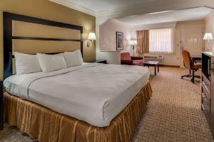 Best Western Inn Suites of, Macon