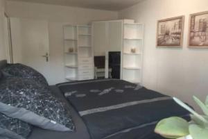 Vacation apartment near Baden-Baden, Buhl