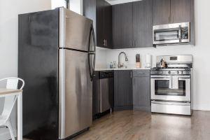 Chestnut Charm - Modern 1 Bdr in Downtown Hotel, Chicago
