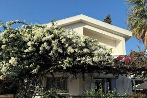 Saint Nicholas Villa - 2 min walk to Beach, Protaras