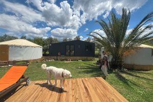 Yol Glamping Accommodation and Retreat Center, Fethiye