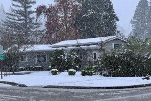 Pet Friendly, Cozy Orchard House, blocks from the University of Oregon, Eugene