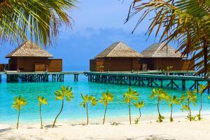BRICKWOOD GANDUVARU Hotel, Rasdhoo