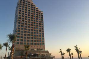 Peklun Apartment in, Netanya