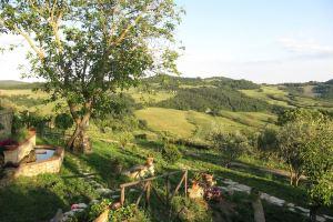 The cherry tree Podere il Giglio: Romantic apartment on the hills and swimming pool, Radicondoli