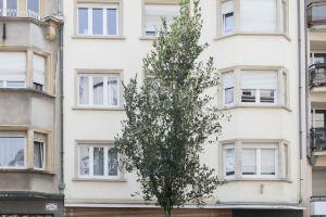 The Queen Luxury Apartments - Villa Cortina, Luxembourg