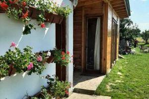 Morava Garden - Village Tourism, Svetozarevo