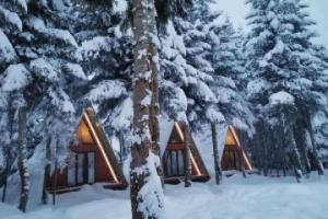 Cabin in the forest, near to ski lift, provide breakfast and dinner, Mestia