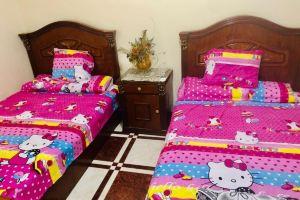 2 Bedroom Apt Partial Sea View, Alexandria
