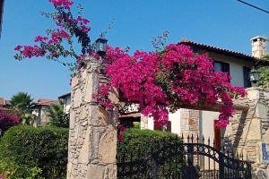 VİLla Oli̇VA Houses, Southwest of Turkey., Dalyan