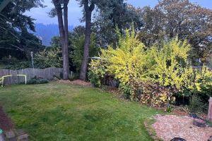 Tracktown & Duck Fans Enjoy! Sleeps 6, Spacious 1600sq ft + Private Yard! Hotel, Eugene