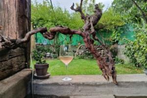 Le Gîte du Pont des Lones Hotel, Valence