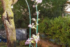 FraiFiori Locazione Breve Hotel, Terni