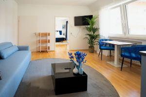 Blue whale, stylish apartment, living room, bedroom, bathroom, kitchen, central in, Ulm